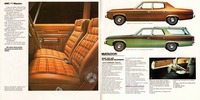 1973 AMC Full Line Prestige-30-31.jpg